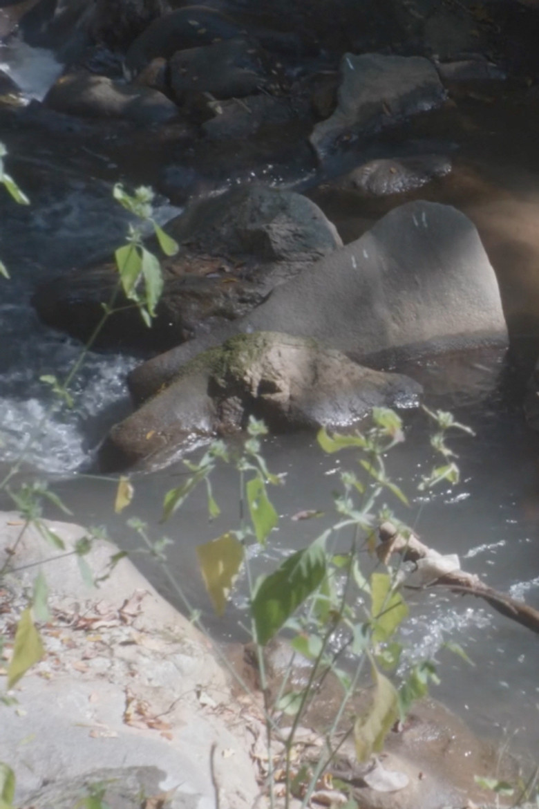 Waterfall poster background