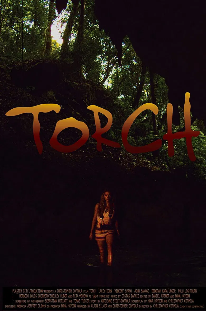 Torch poster background