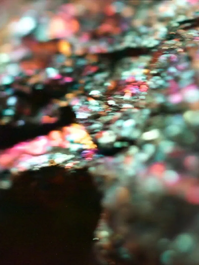 Lagarto poster background