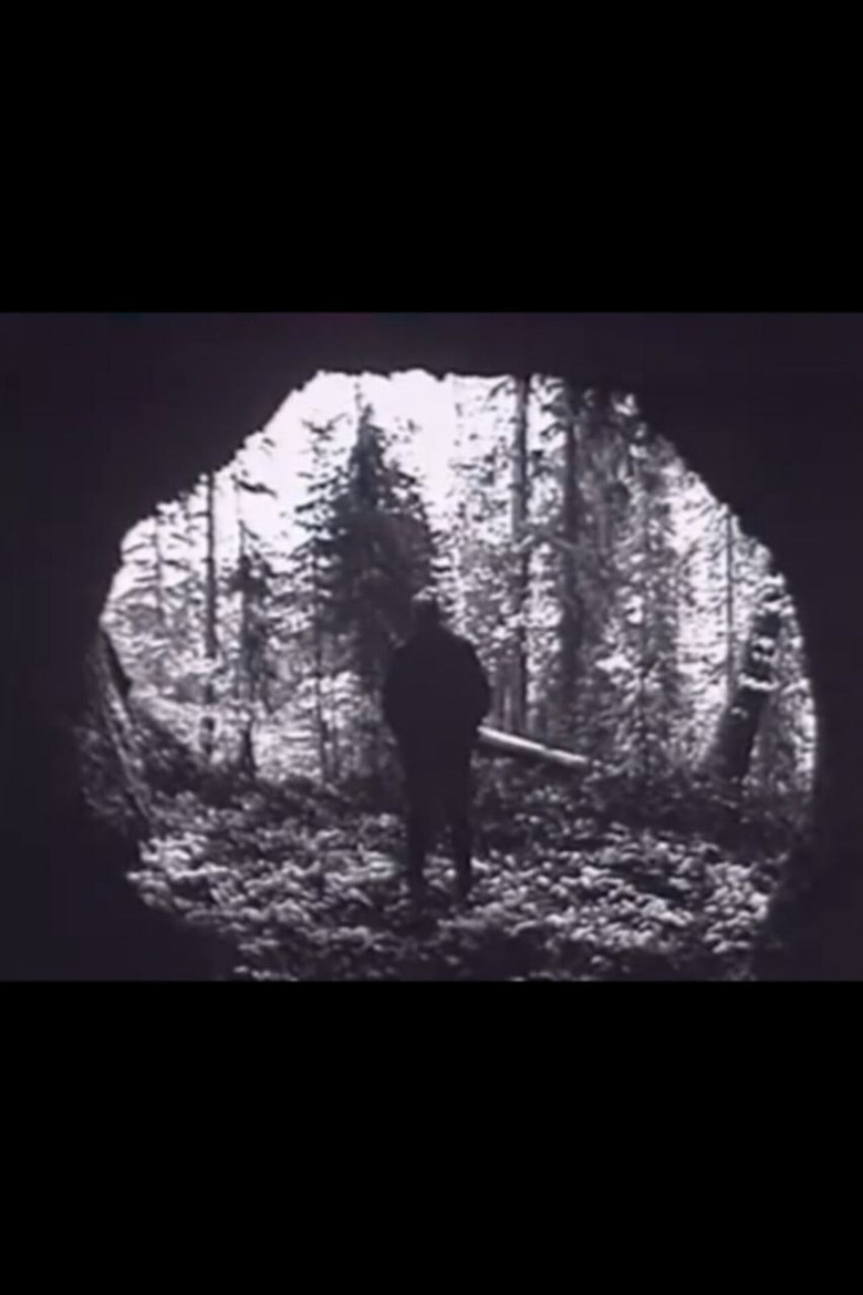 In the canyons of the river Berezovaya poster background