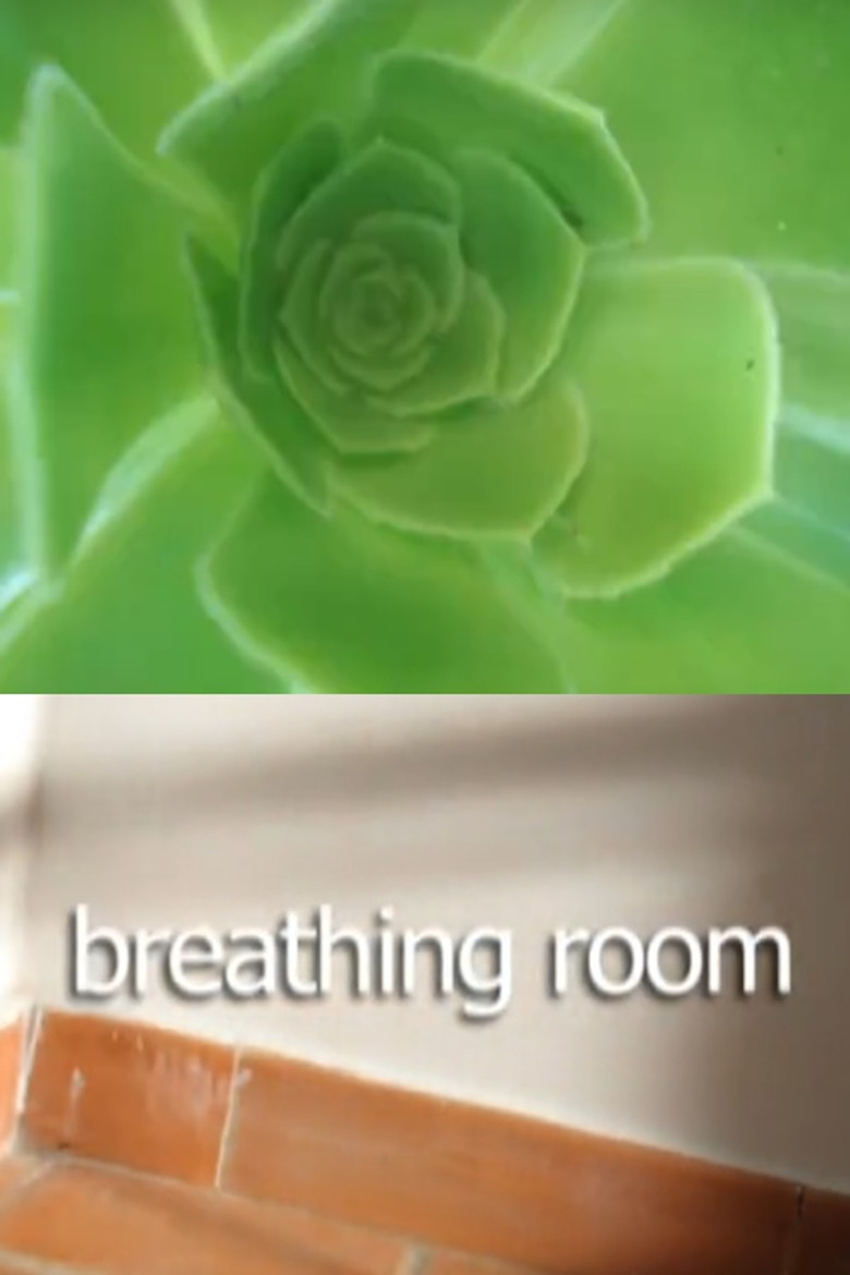 Breathing Room poster background