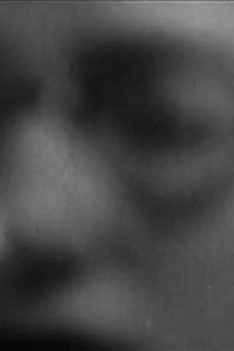 Footnote to Fact poster background