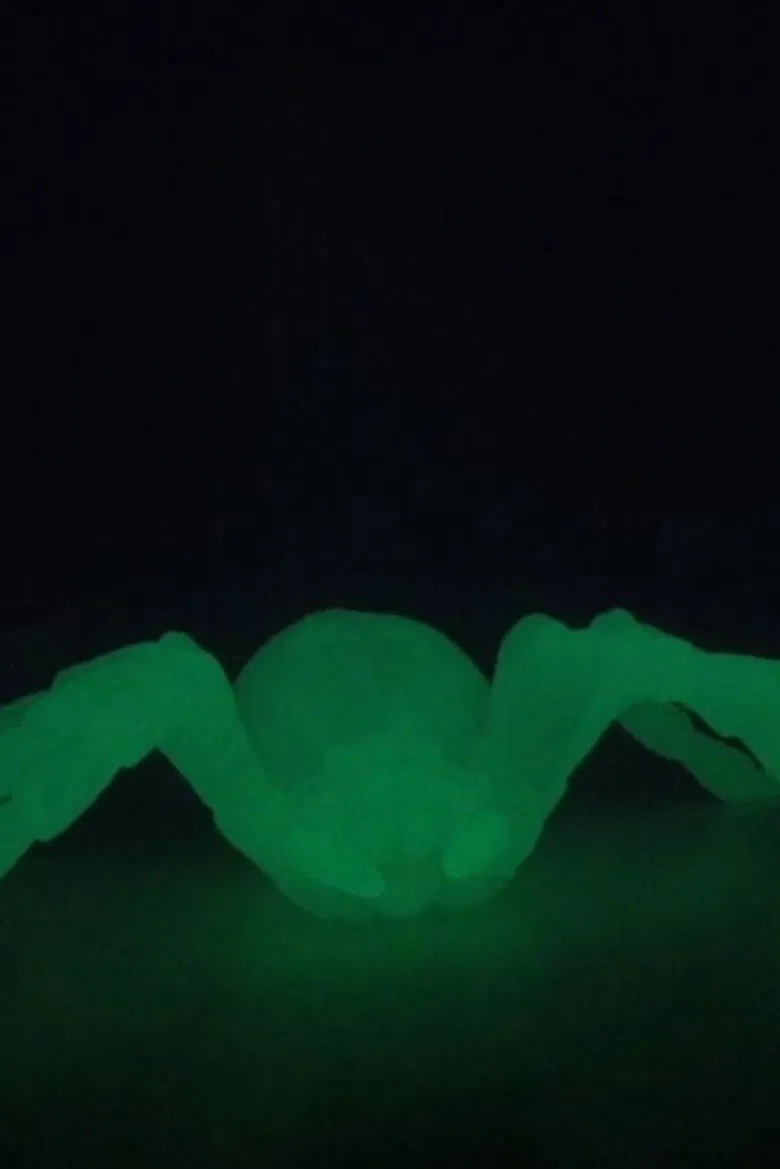 Spider poster background