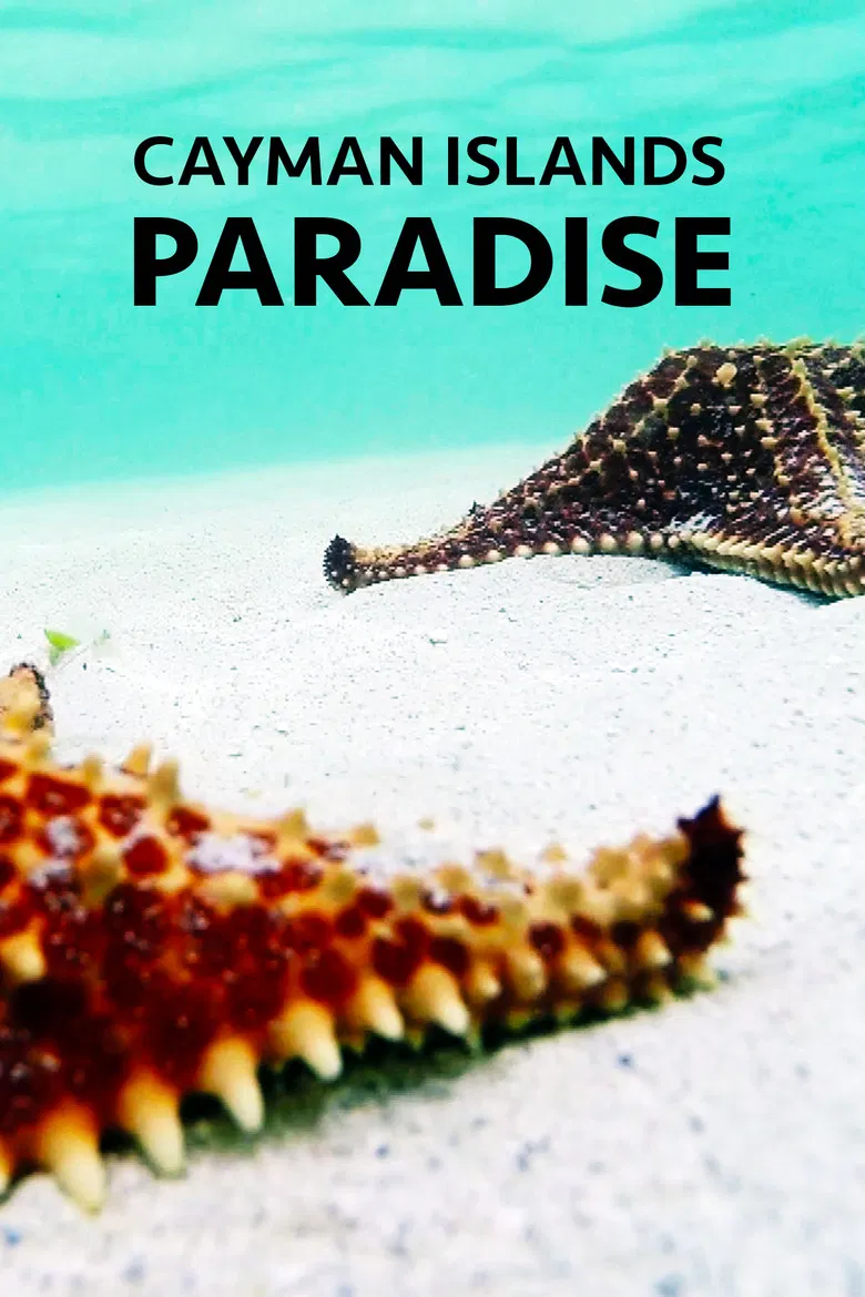 Cayman Islands: Paradise poster background
