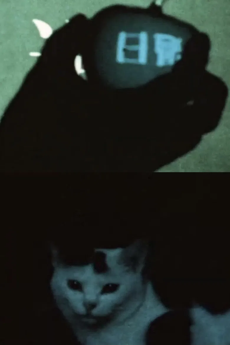 some days ago poster background