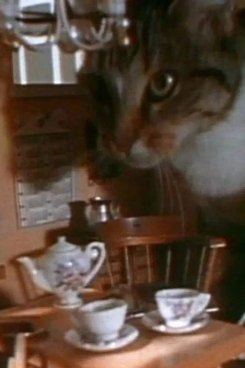 Doll House poster background