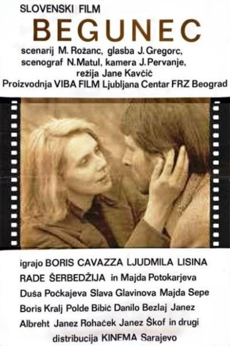 The Fugitive poster background