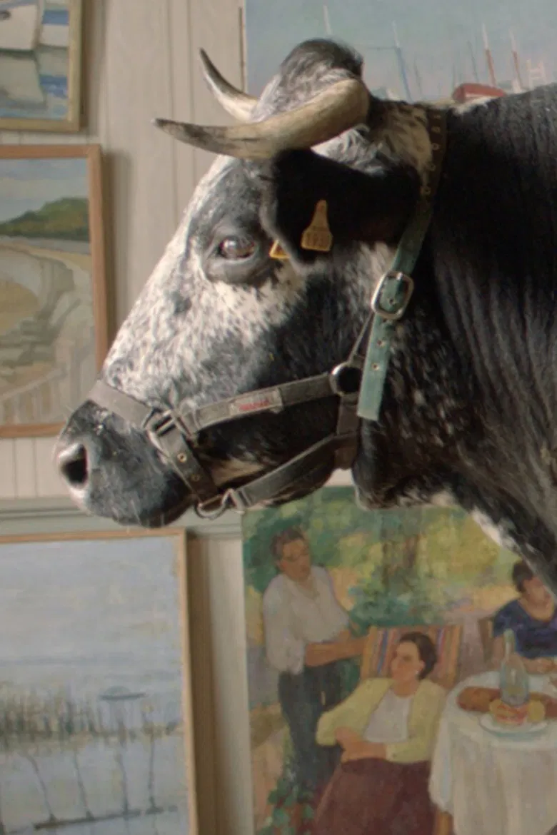 Bonheur poster background