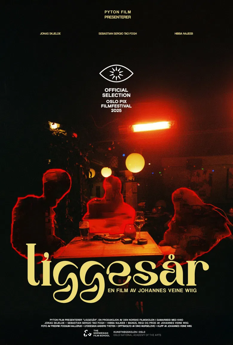 Liggesår poster background