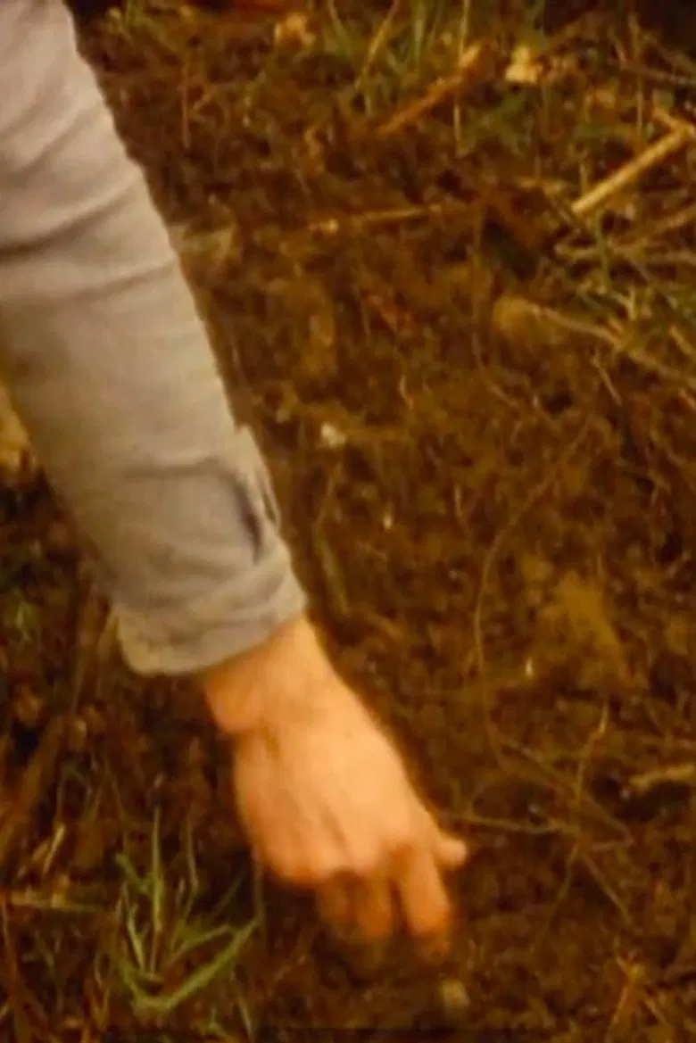 Tree of life poster background