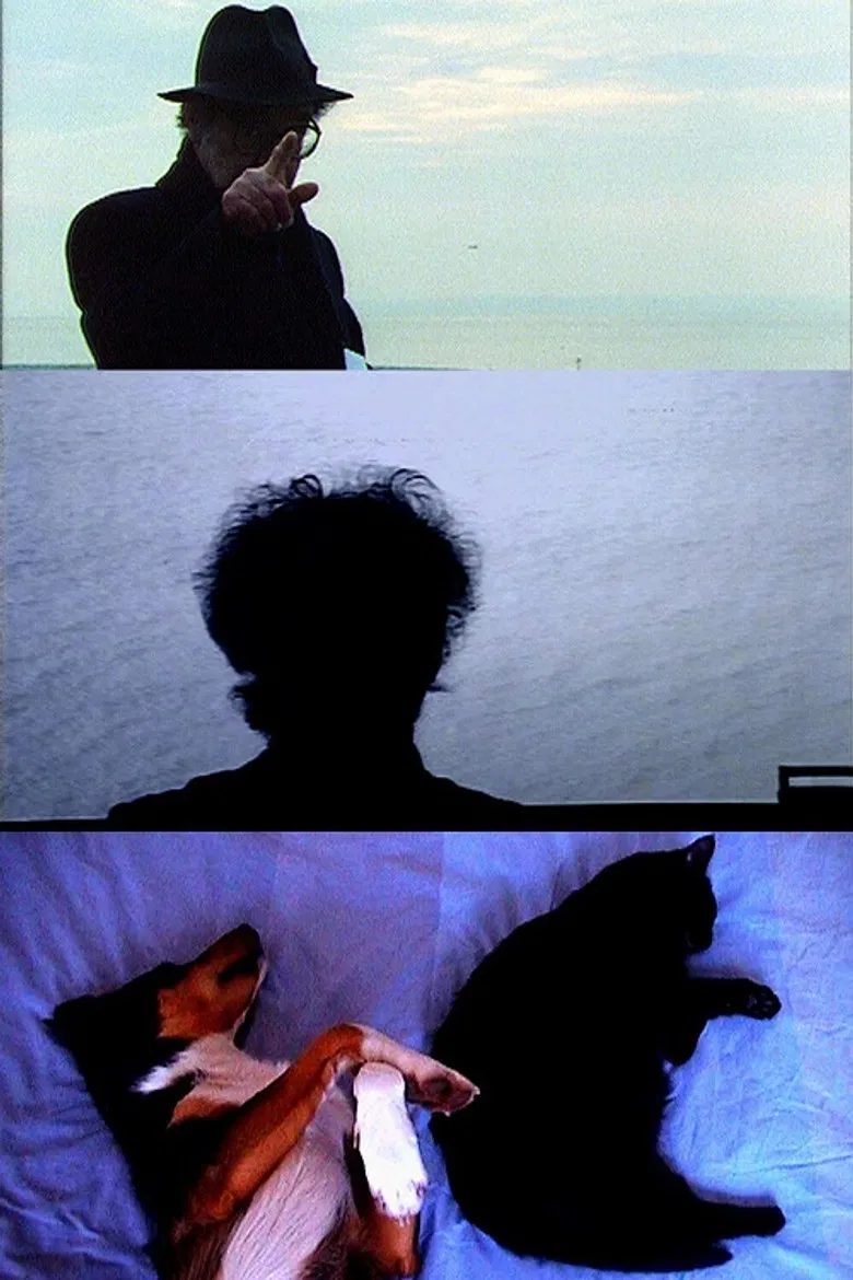 Quod Erat Demonstrandum poster background