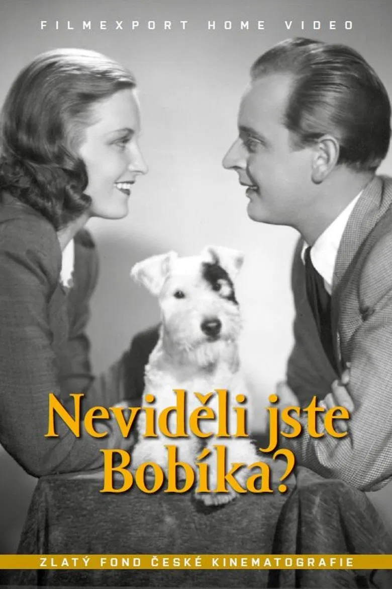 Neviděli jste Bobíka? poster background