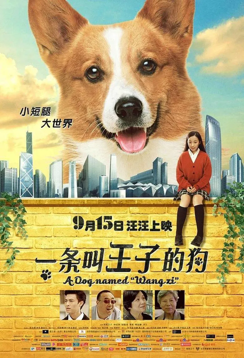 A Dog Named Wang Zi poster background