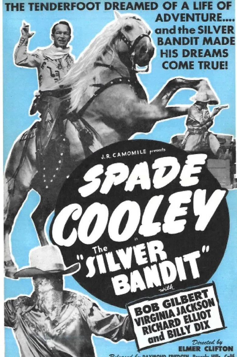 The Silver Bandit poster background