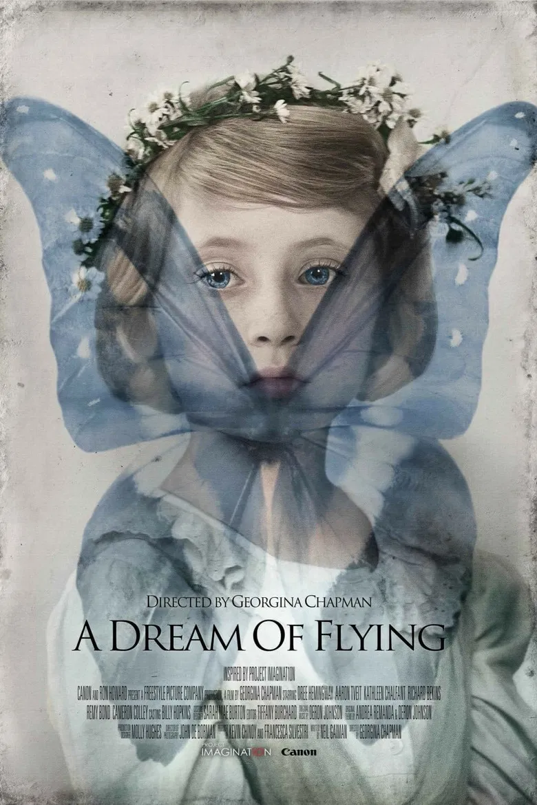 A Dream of Flying poster background