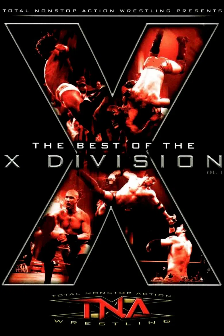 The Best of the X Division Vol. 1 poster background