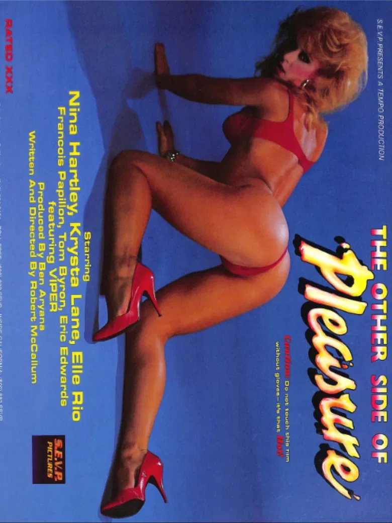 Other Side of Pleasure poster background