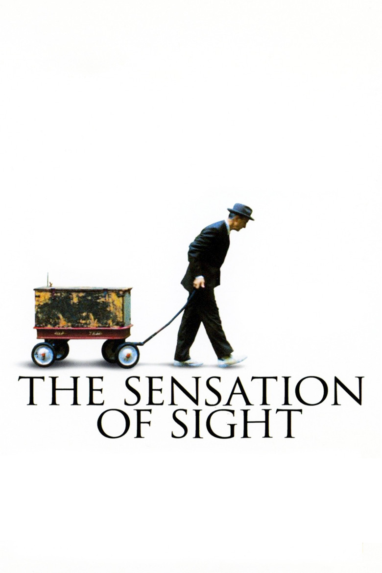 The Sensation of Sight poster background
