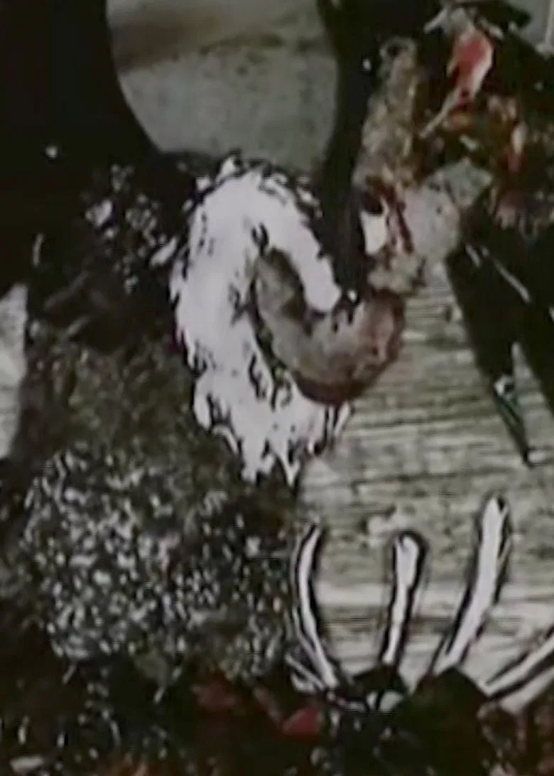 Czas sępa poster background