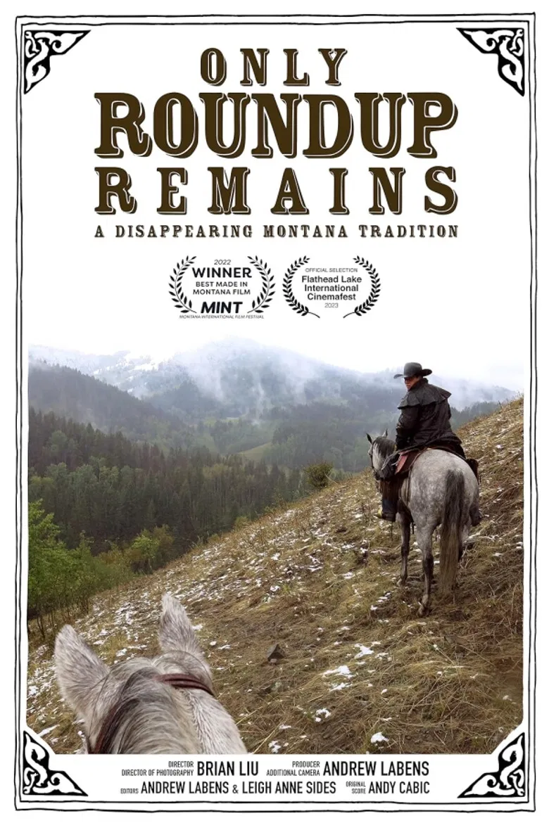 Only Roundup Remains poster background