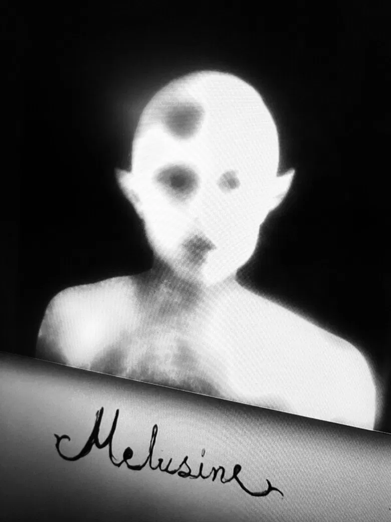 Melusine poster background