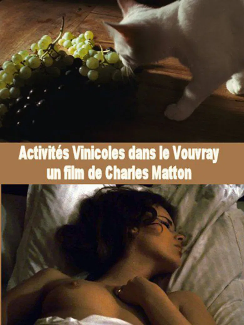 Activités vinicoles dans le Vouvray poster background
