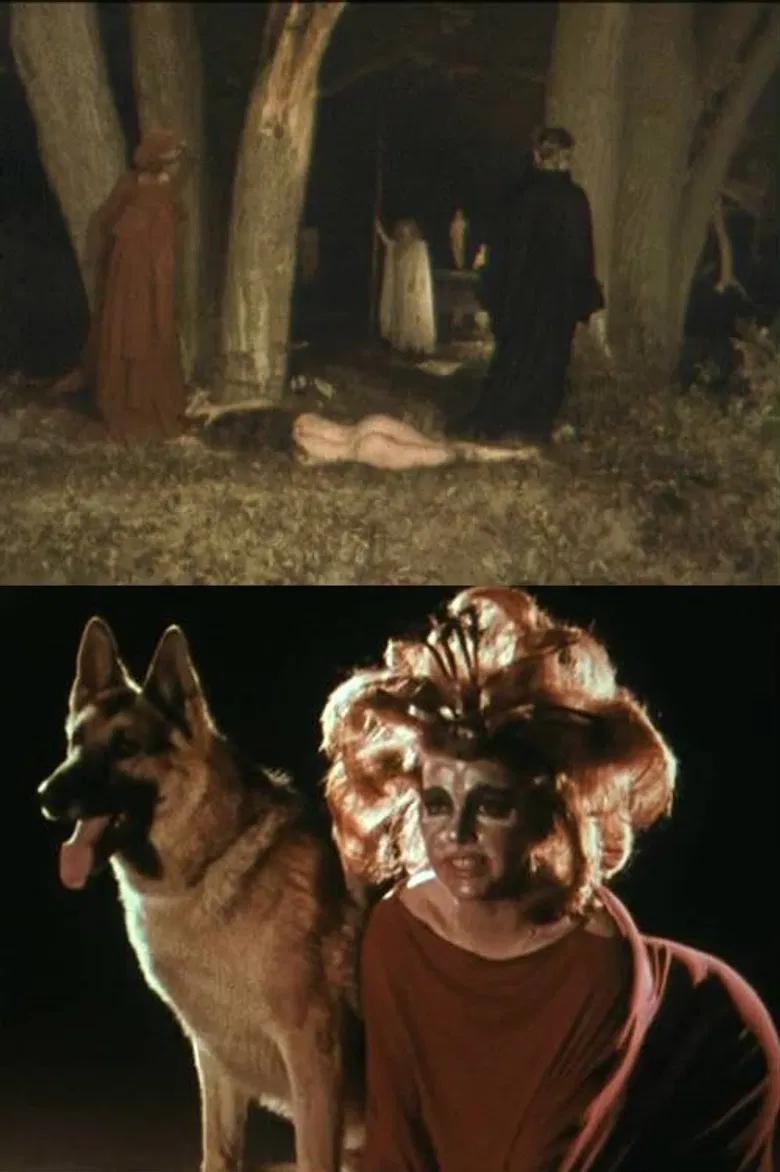 La divine comédie poster background