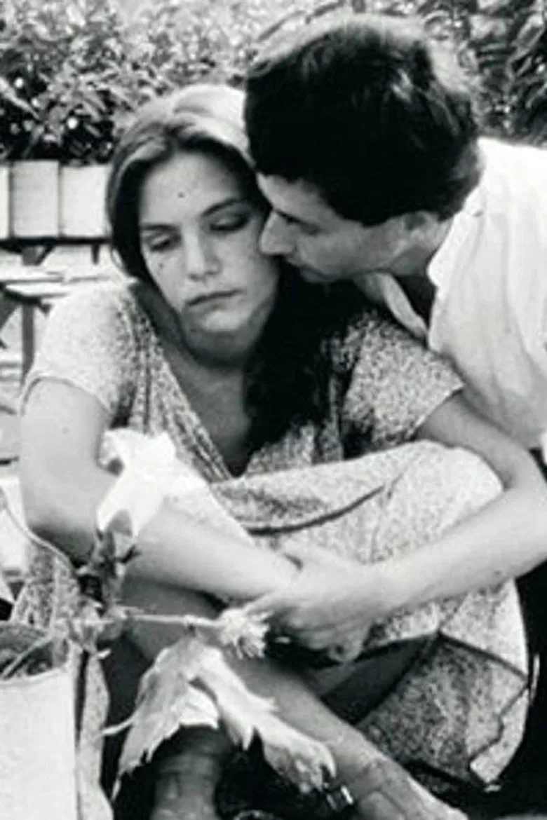 Fog Under the Sun poster background