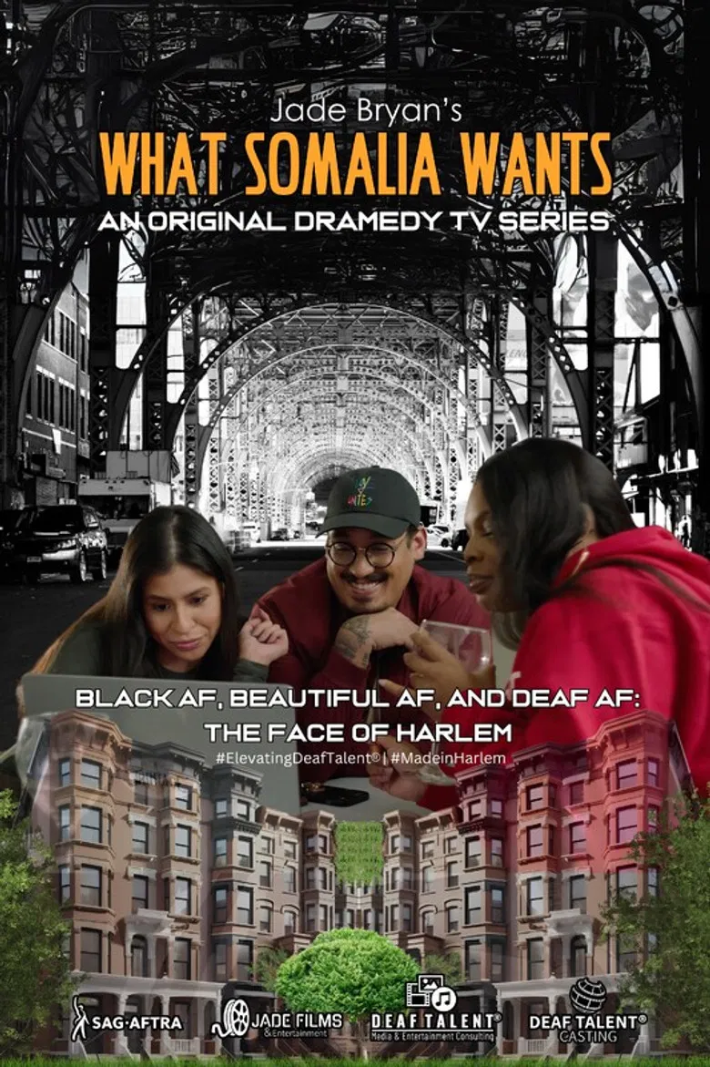 What Somalia Wants poster background