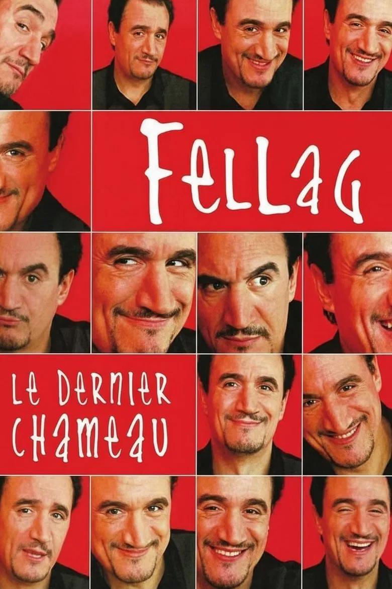 Le Dernier chameau poster background