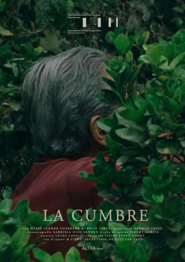 La Cumbre poster background