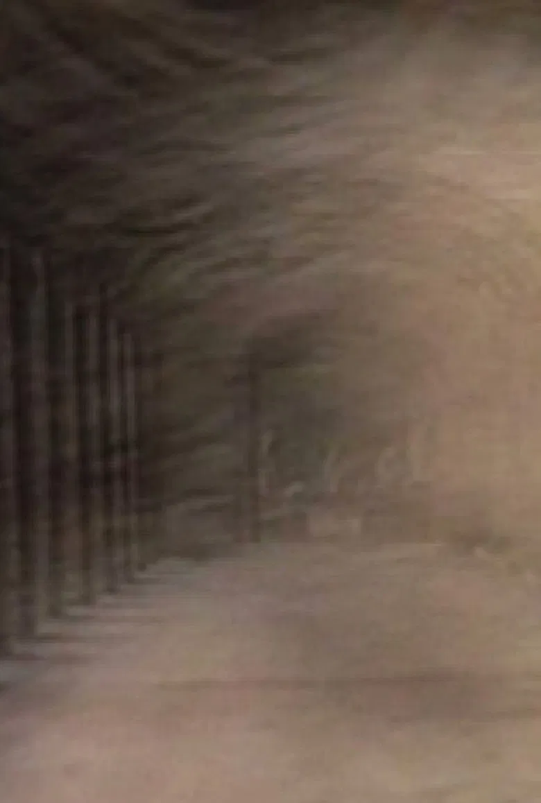 Trois tours et puis s'en vont poster background