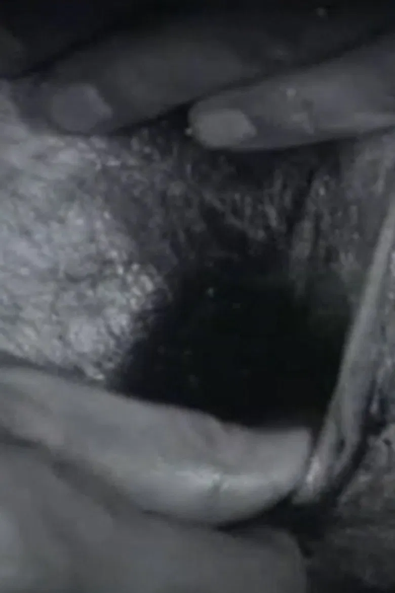 Black Balls poster background