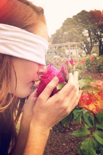 The Handkerchief poster background