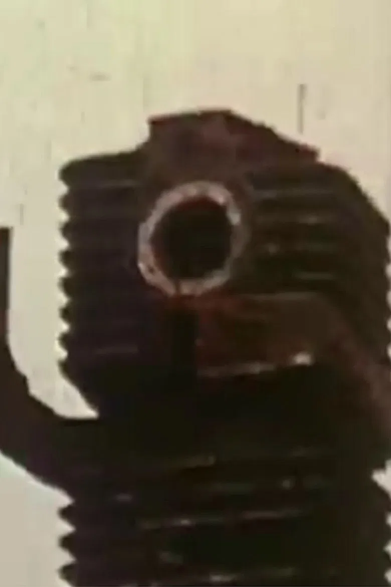 Animated Objects poster background