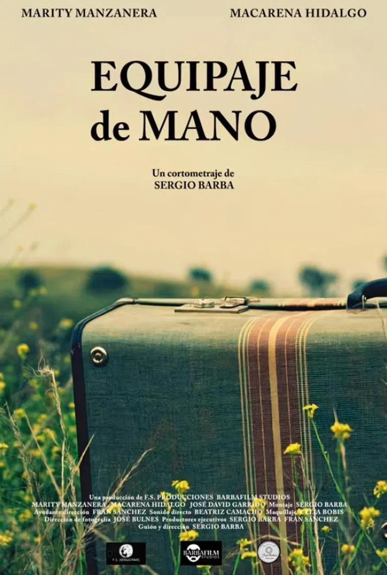 Hand Luggage poster background