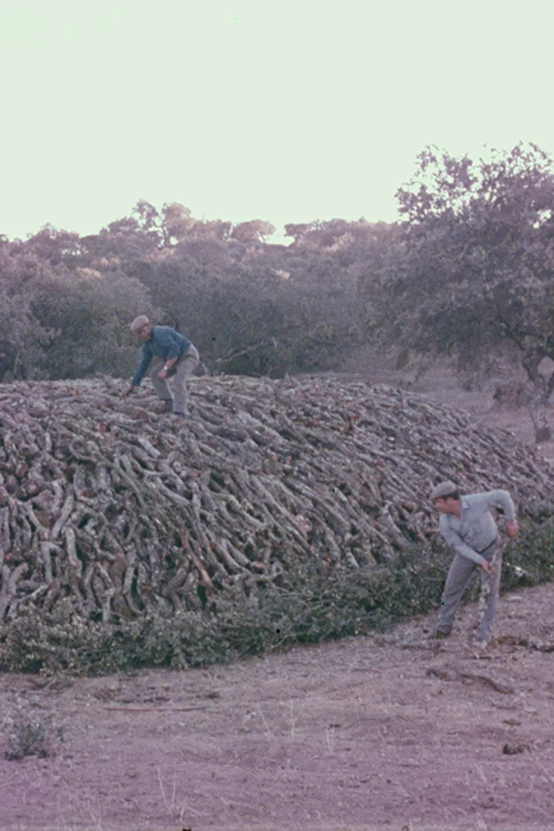 Encinares poster background