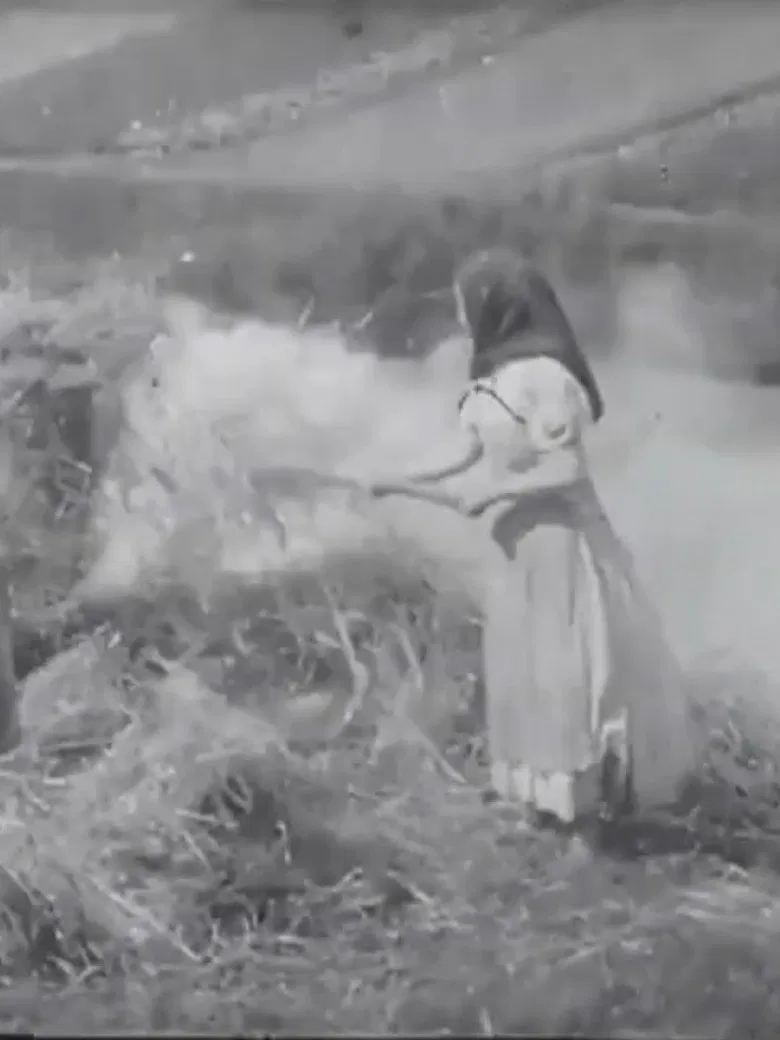 Brûleuses d'herbes poster background