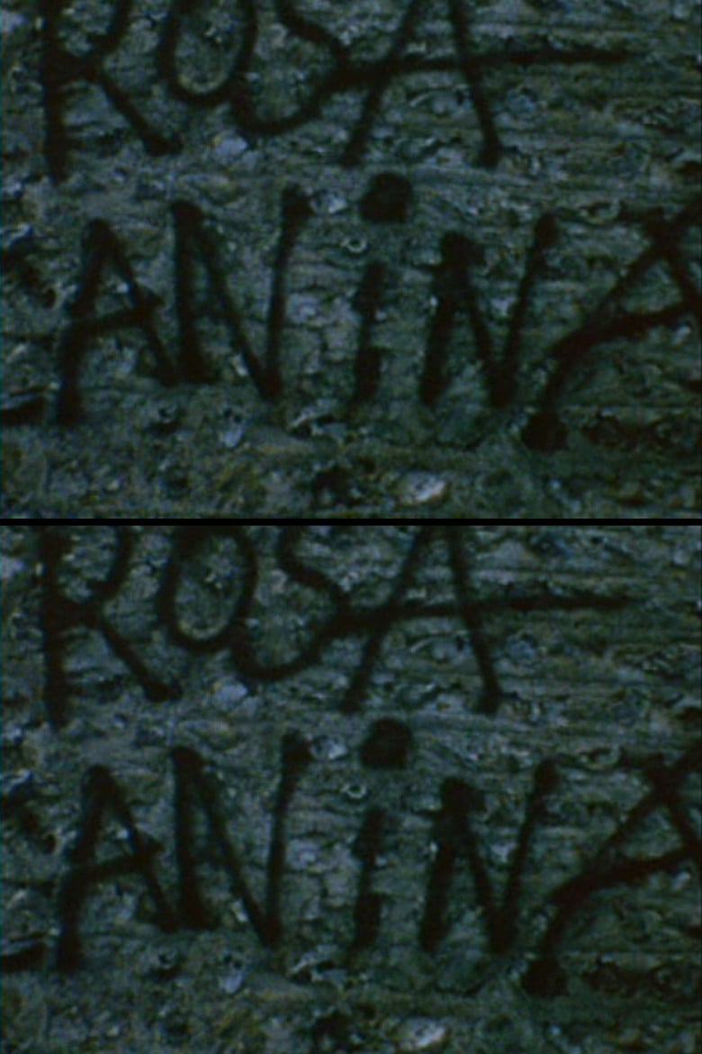 Rosa Canina poster background