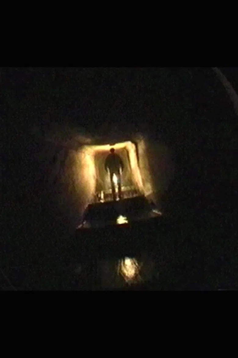 Understory poster background