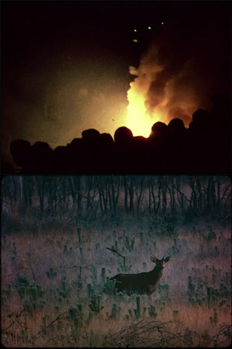 Après le volcan poster background