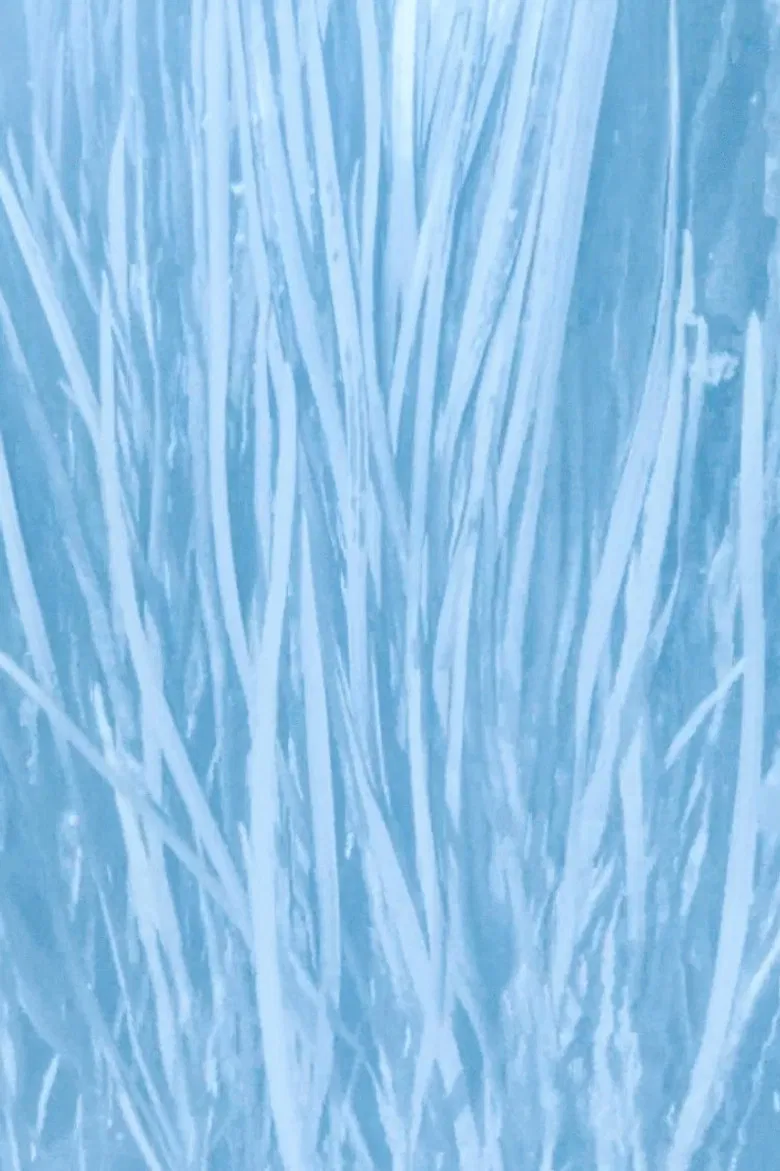 Our Watery Selves poster background