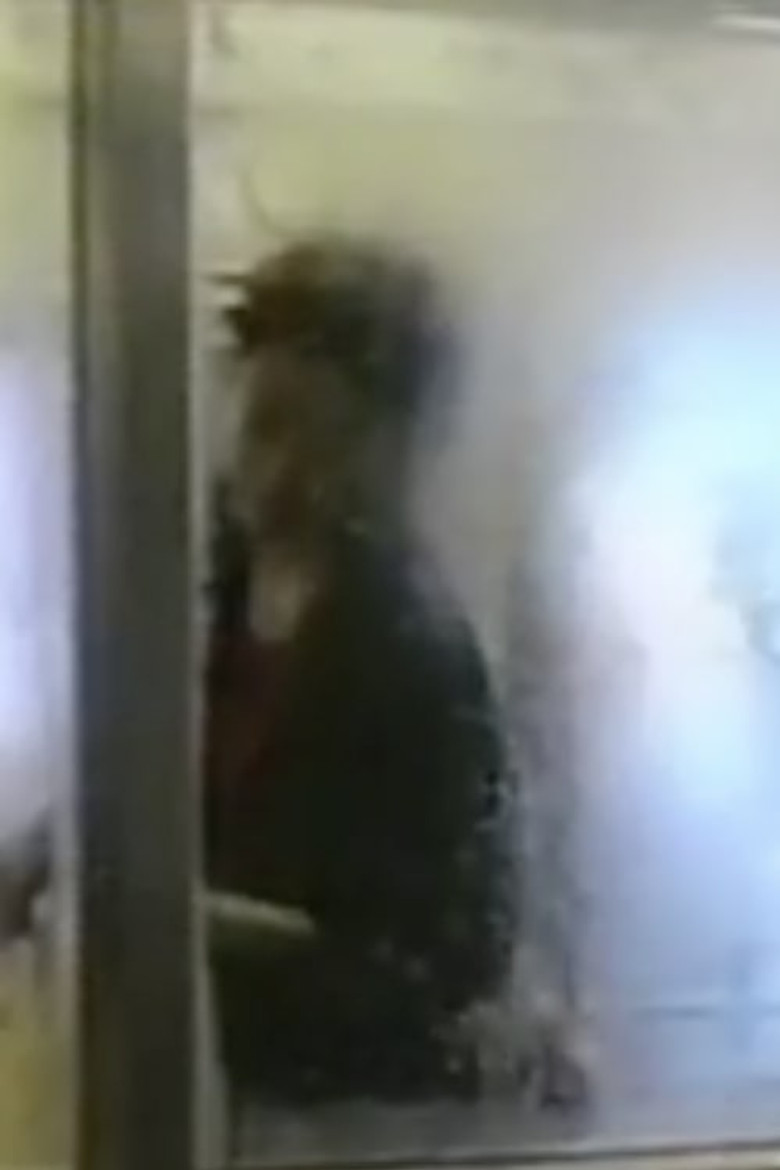 Go-raku-en poster background