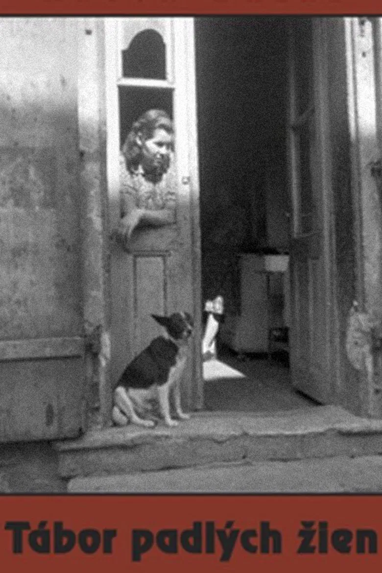 Camp of Fallen Women poster background