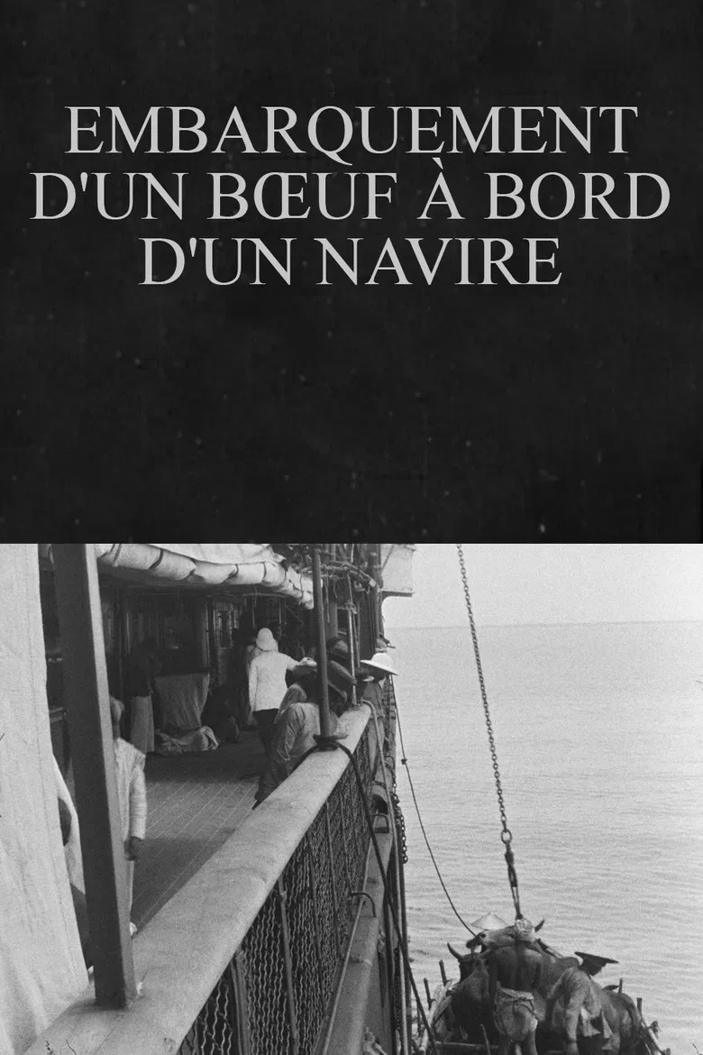 Embarquement d'un bœuf à bord d'un navire poster background