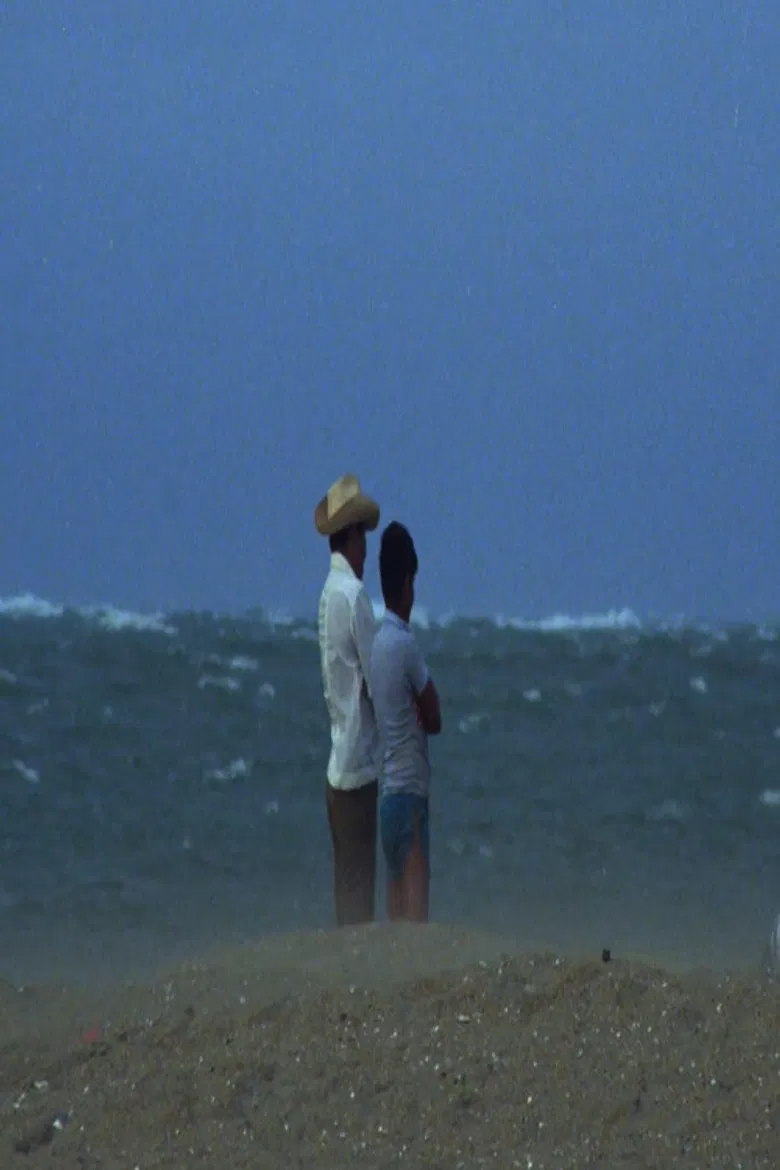 Tlacotalpan poster background