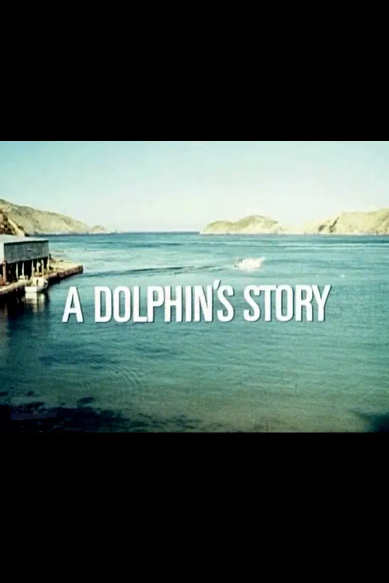 A Dolphin's Story poster background