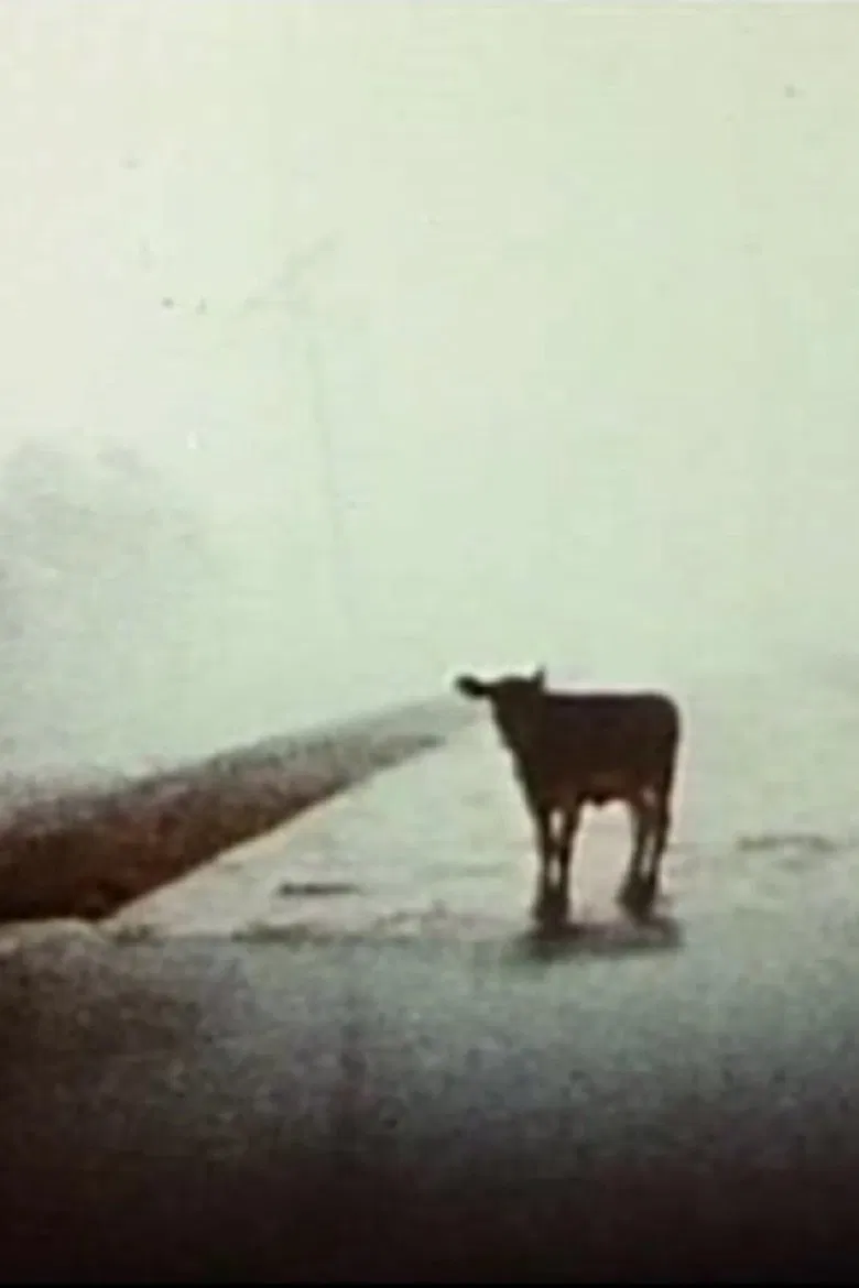 Everywhere at Once poster background