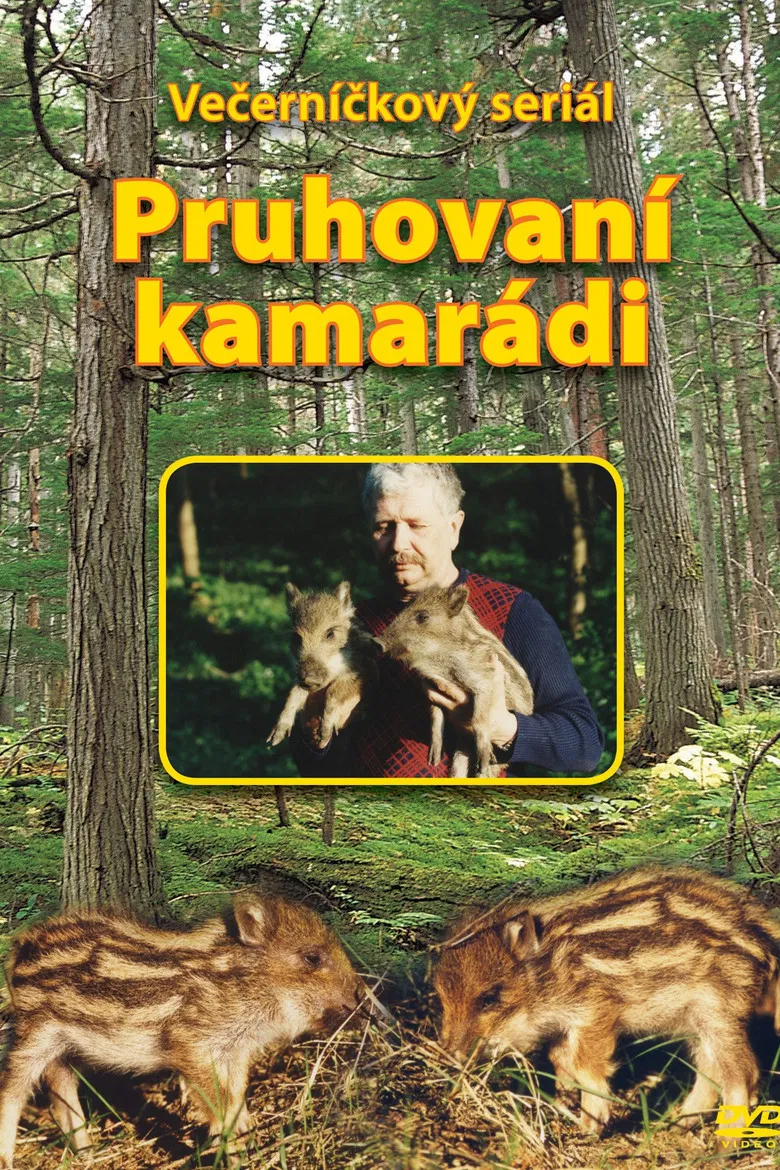 Pruhovaní kamarádi poster background