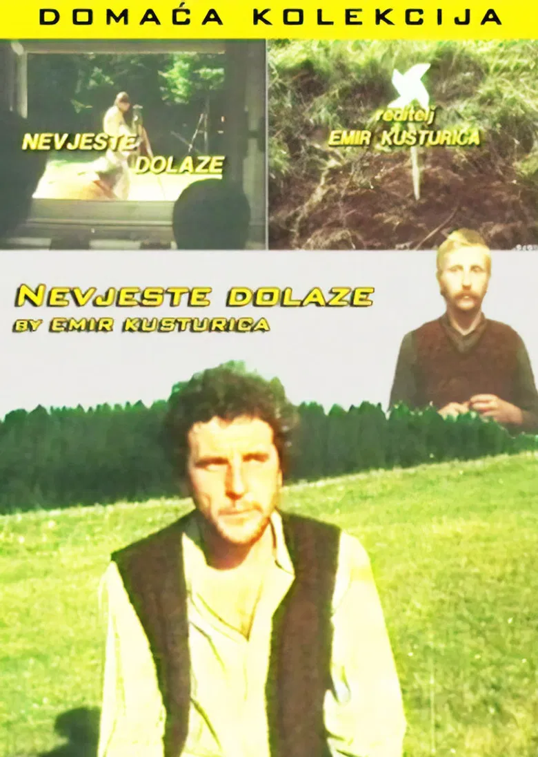 The Brides Are Coming poster background